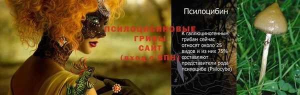 первитин Горнозаводск