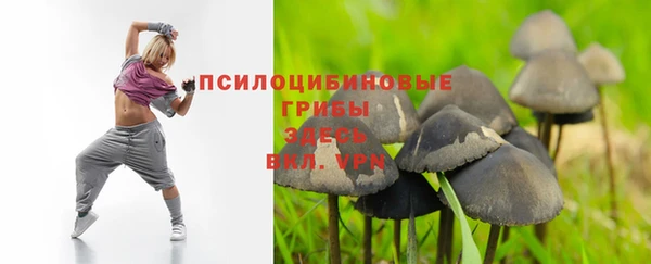 ALPHA-PVP Горняк