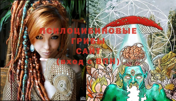 соль ск Гусев