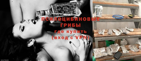 соль ск Гусев