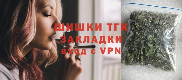 соль ск Гусев