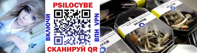Купить где  Сольцы  Галлюциногенные грибы ЛСД 